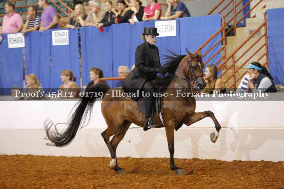 Proof 15R12_01719