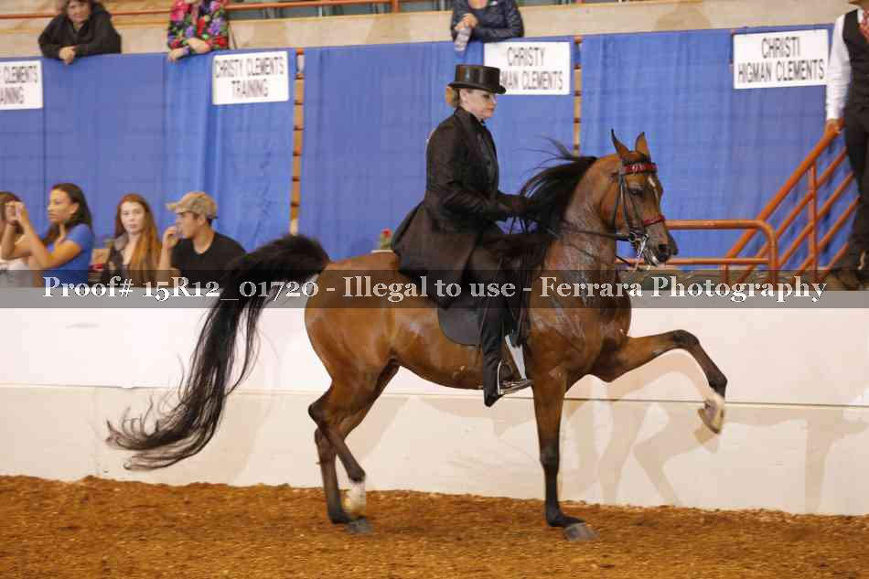 Proof 15R12_01720