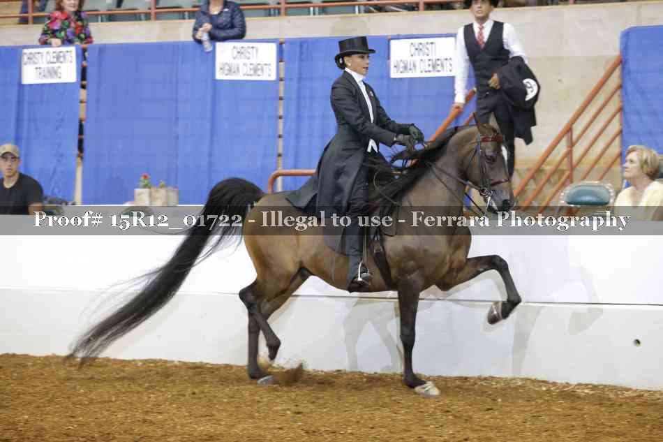 Proof 15R12_01722