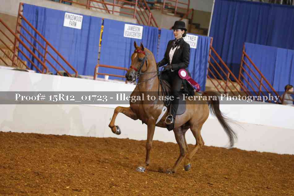 Proof 15R12_01723