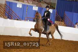 15R12_01723 proof