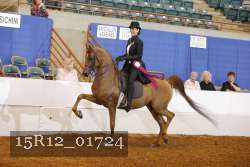 15R12_01724 proof