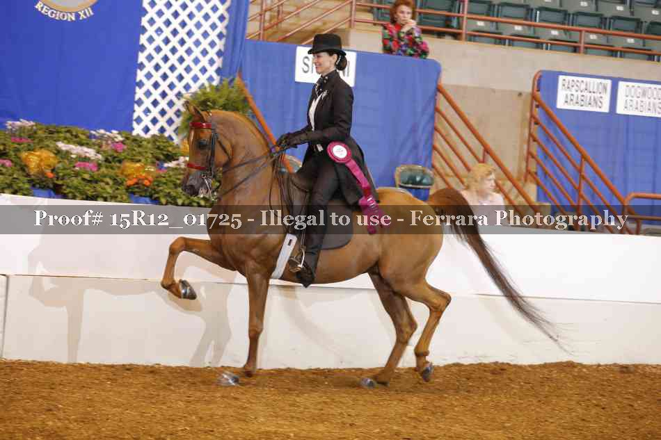 Proof 15R12_01725