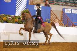 15R12_01725 proof