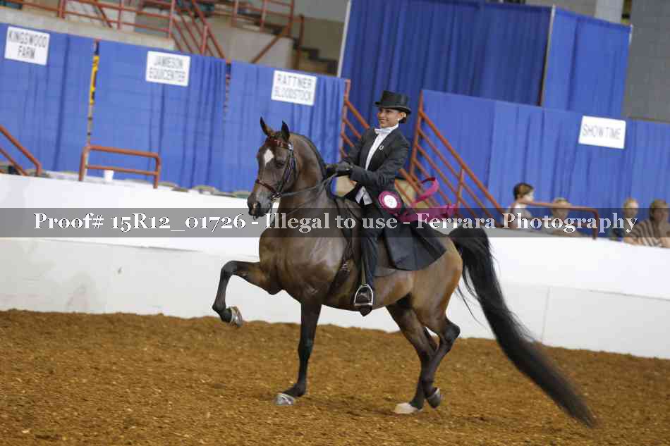 Proof 15R12_01726
