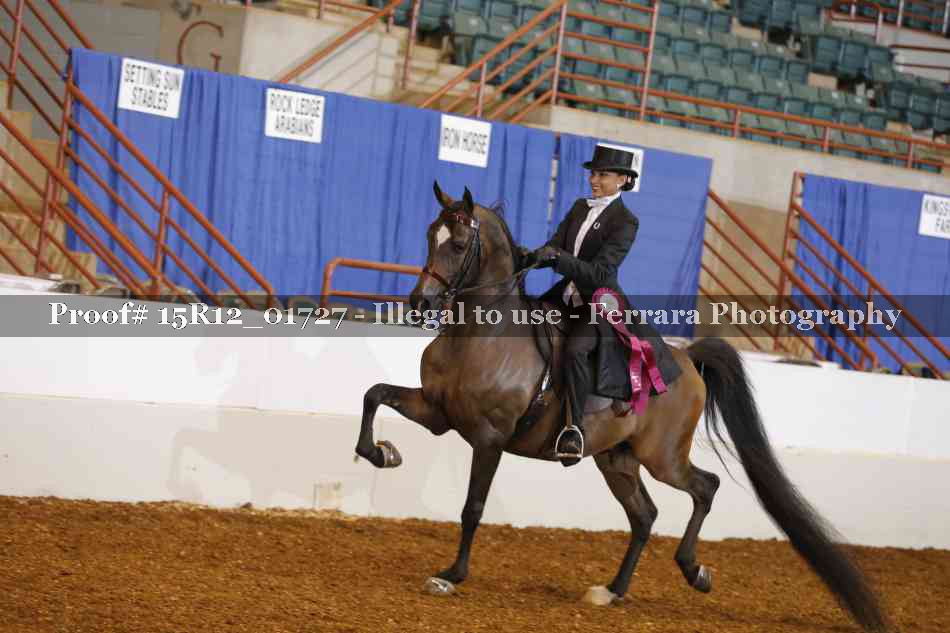 Proof 15R12_01727