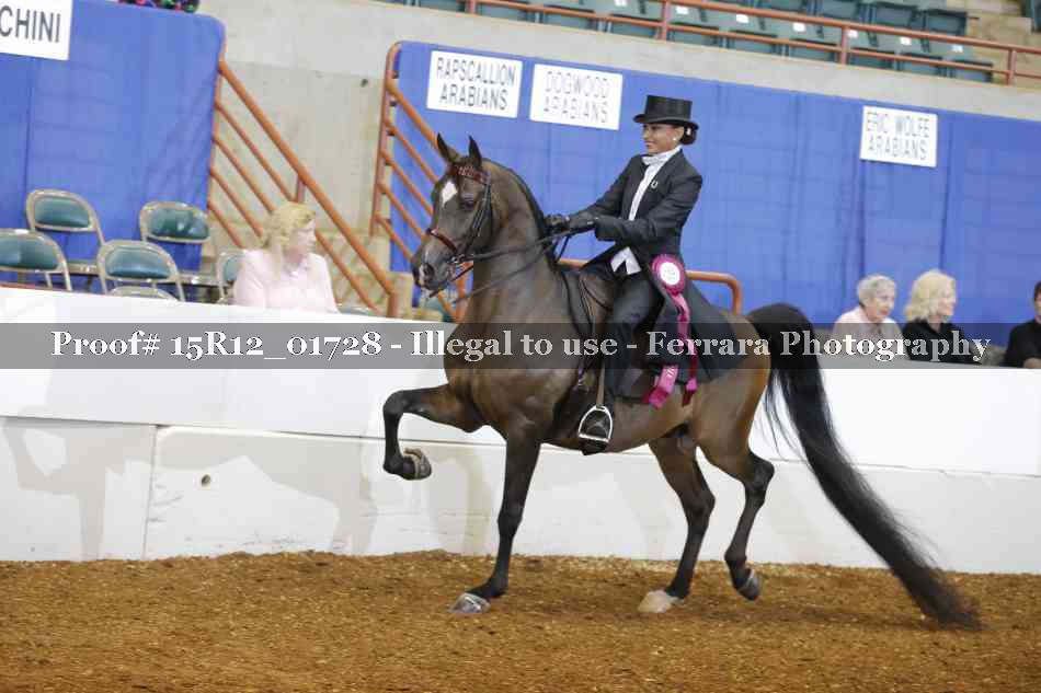 Proof 15R12_01728