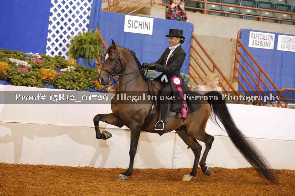Proof 15R12_01729