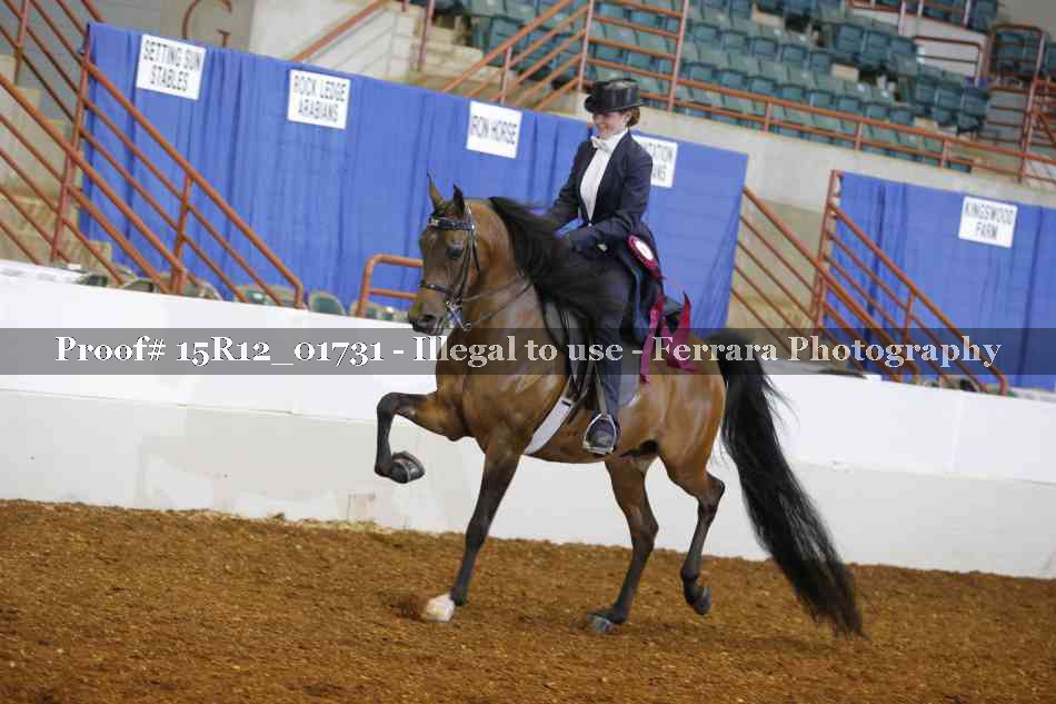 Proof 15R12_01731