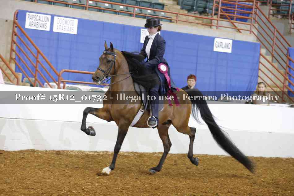 Proof 15R12_01732