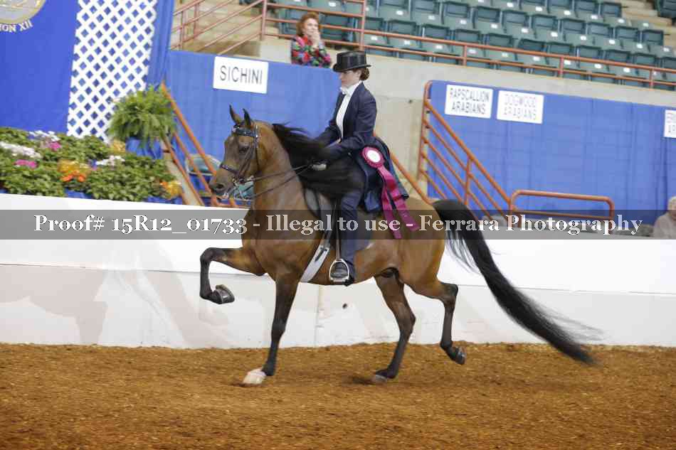Proof 15R12_01733