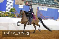 15R12_01733 proof