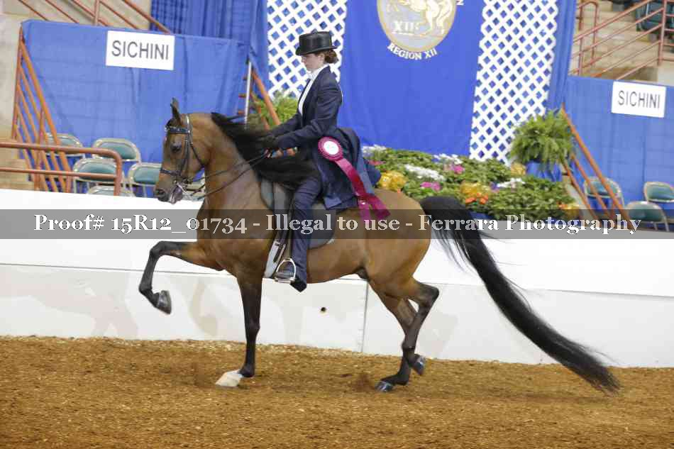 Proof 15R12_01734