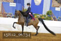 15R12_01734 proof