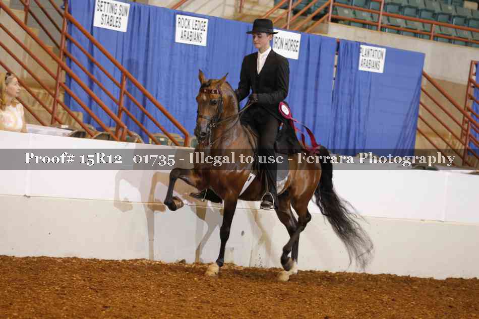 Proof 15R12_01735