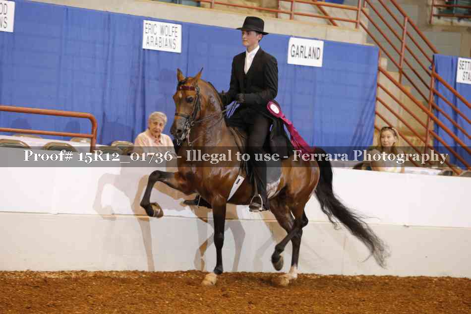 Proof 15R12_01736