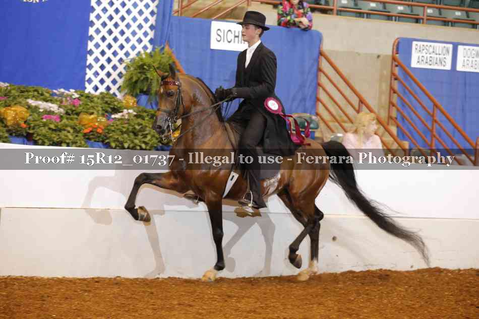 Proof 15R12_01737
