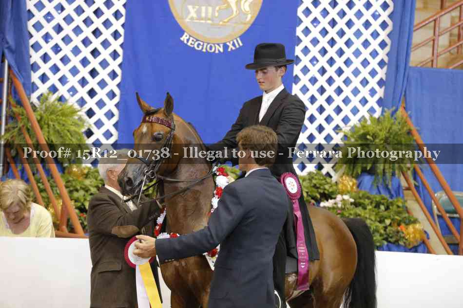 Proof 15R12_01738