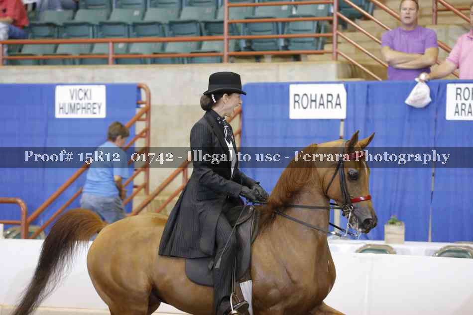 Proof 15R12_01742