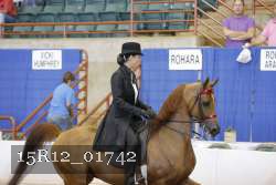 15R12_01742 proof