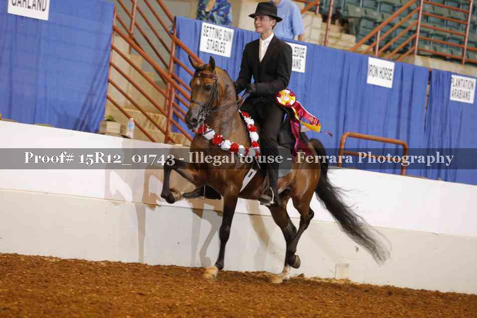 Proof 15R12_01743