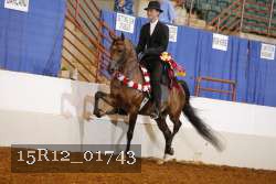 15R12_01743 proof