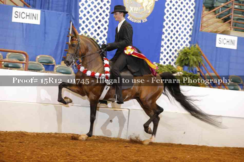 Proof 15R12_01745