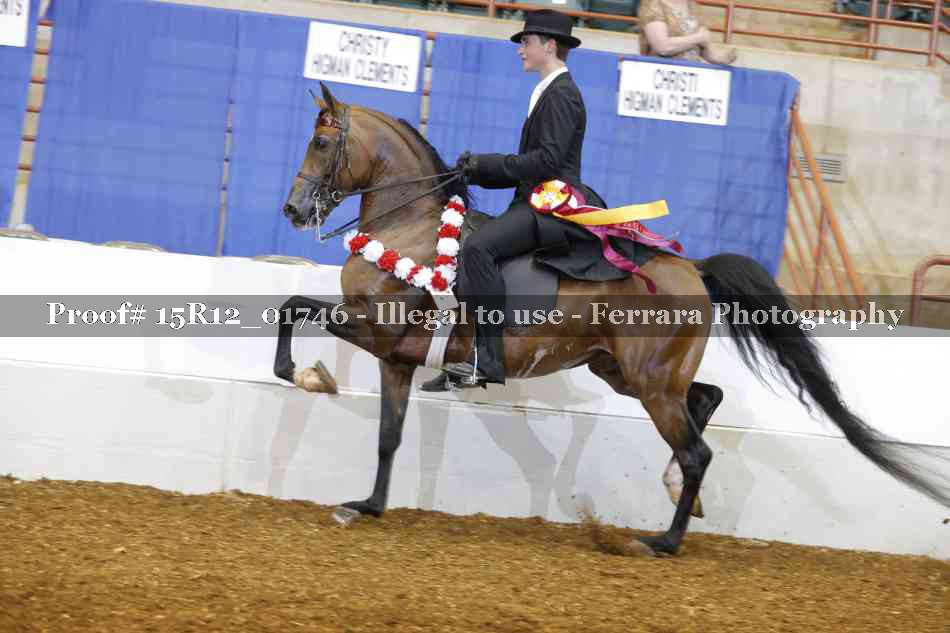 Proof 15R12_01746