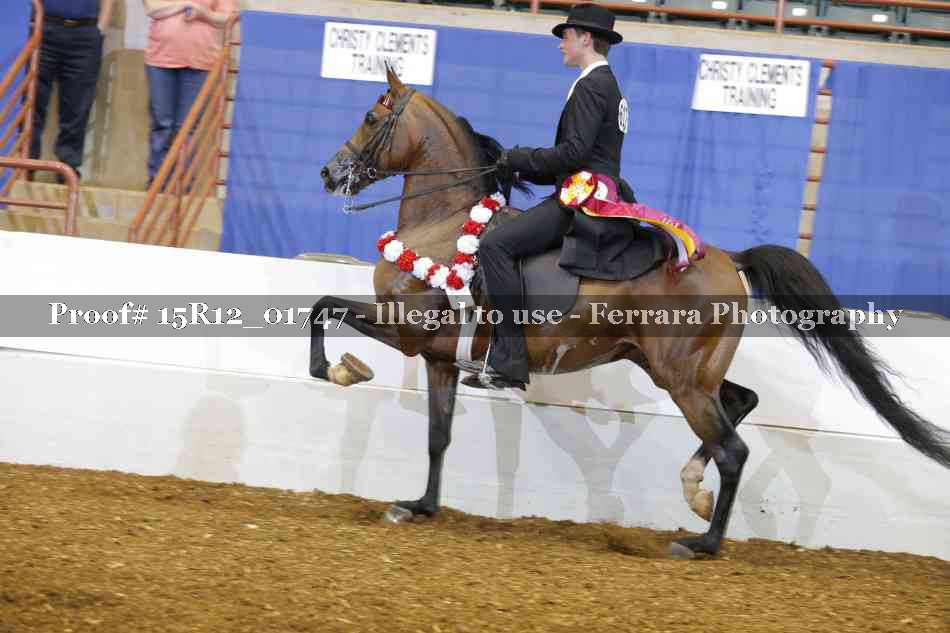 Proof 15R12_01747