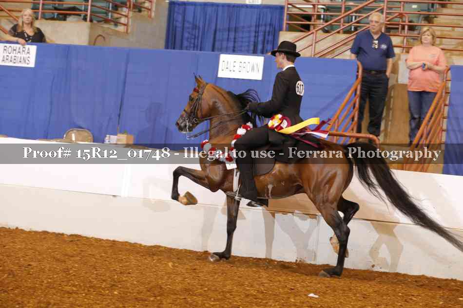 Proof 15R12_01748