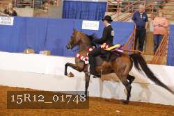 15R12_01748 proof