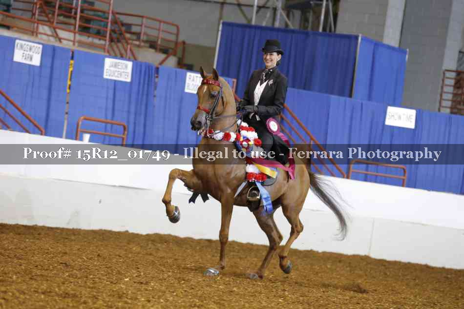 Proof 15R12_01749