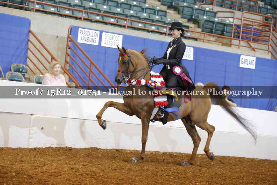 Proof 15R12_01751