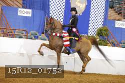 15R12_01752 proof