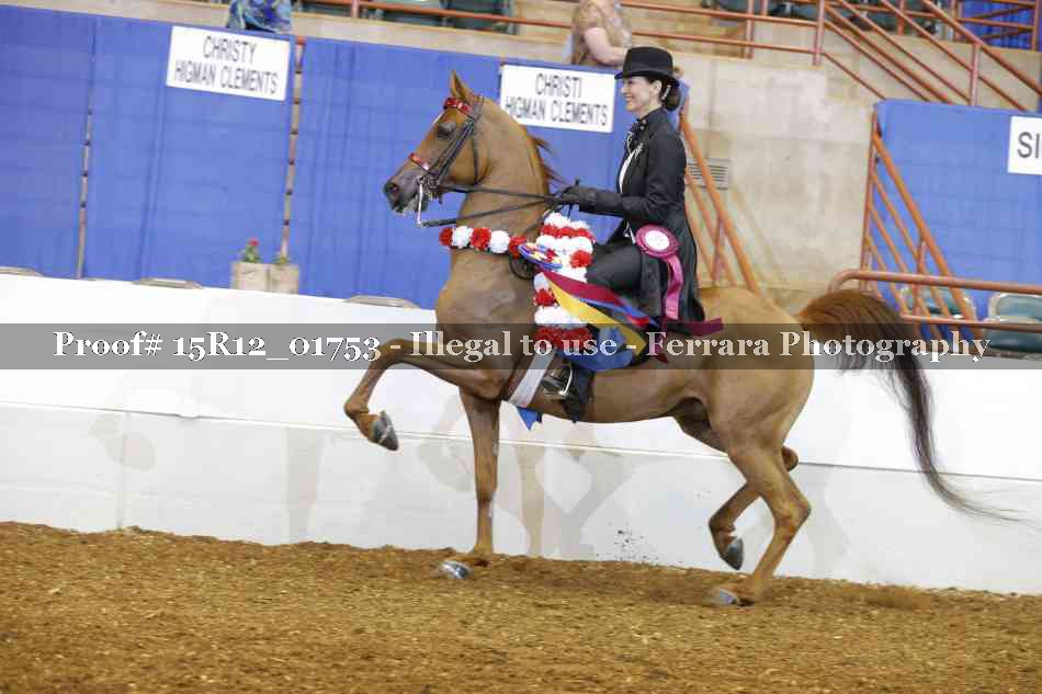 Proof 15R12_01753