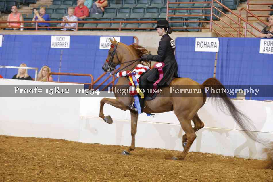 Proof 15R12_01754