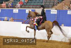 15R12_01754 proof