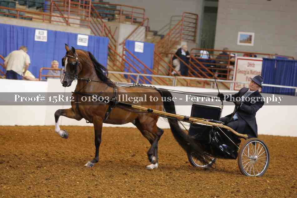 Proof 15R12_01803