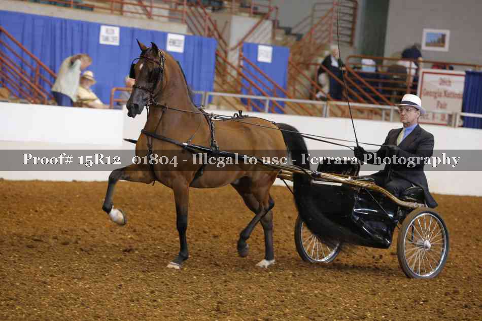 Proof 15R12_01804