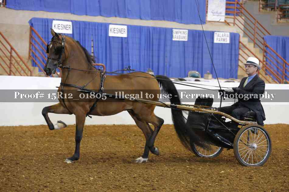 Proof 15R12_01805