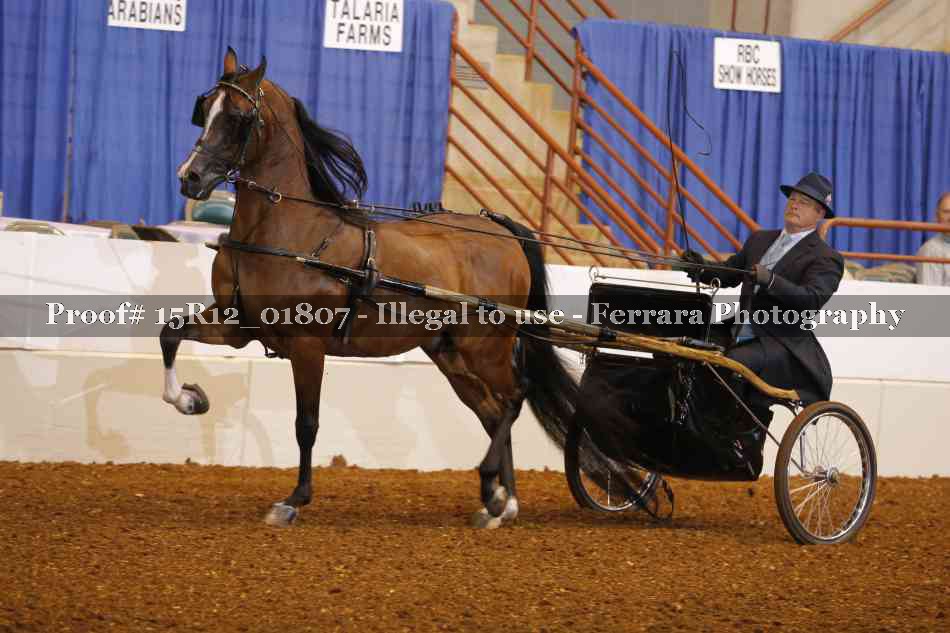 Proof 15R12_01807