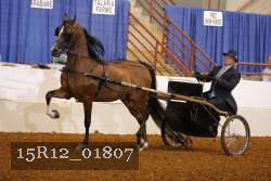 15R12_01807 proof