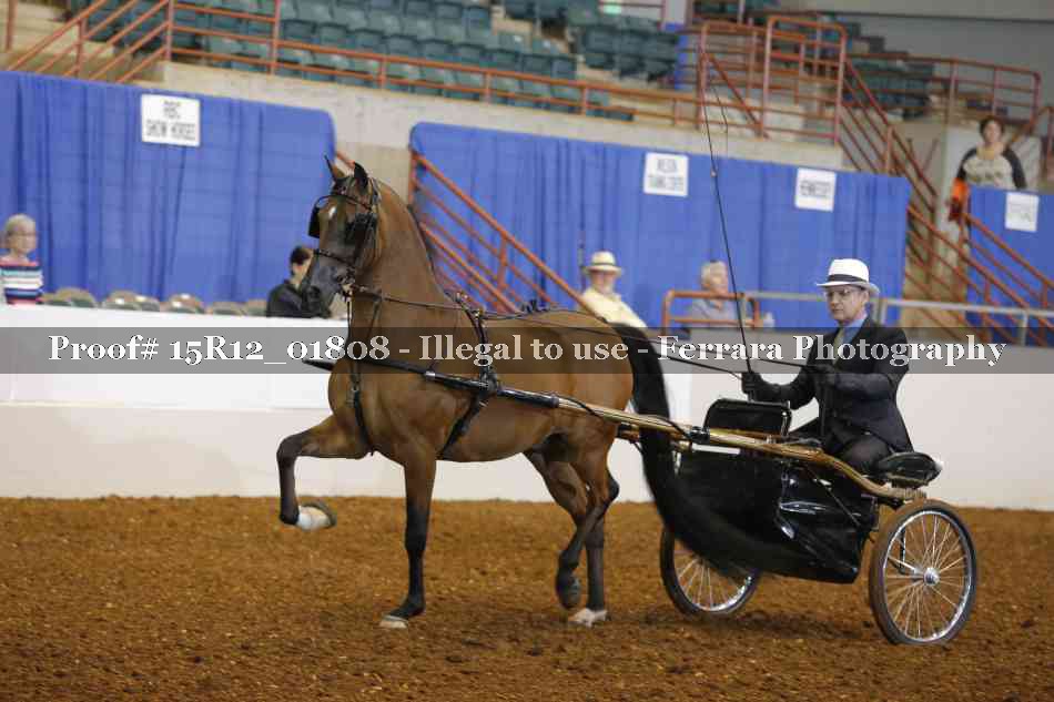 Proof 15R12_01808