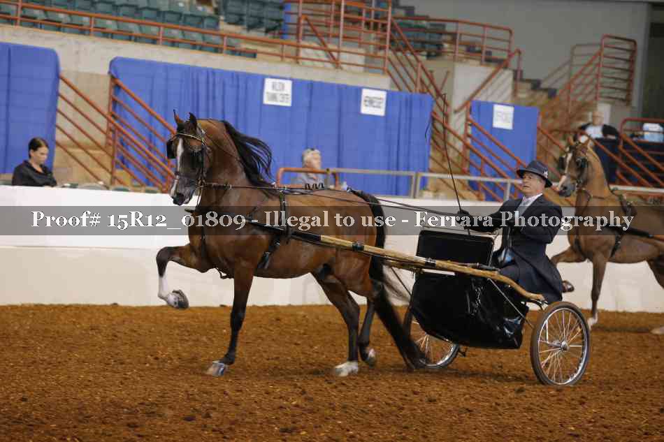 Proof 15R12_01809
