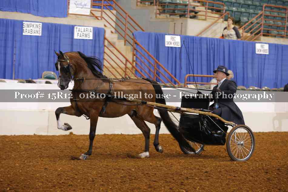 Proof 15R12_01810