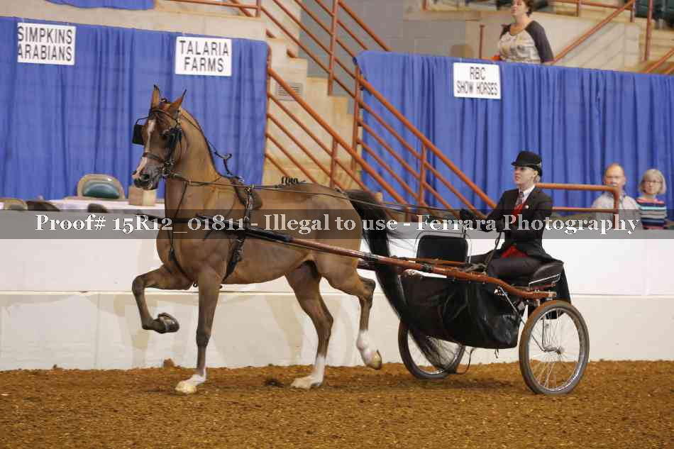 Proof 15R12_01811