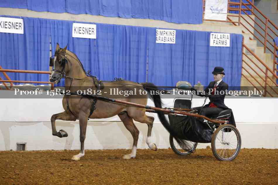 Proof 15R12_01812