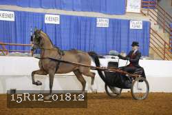 15R12_01812 proof
