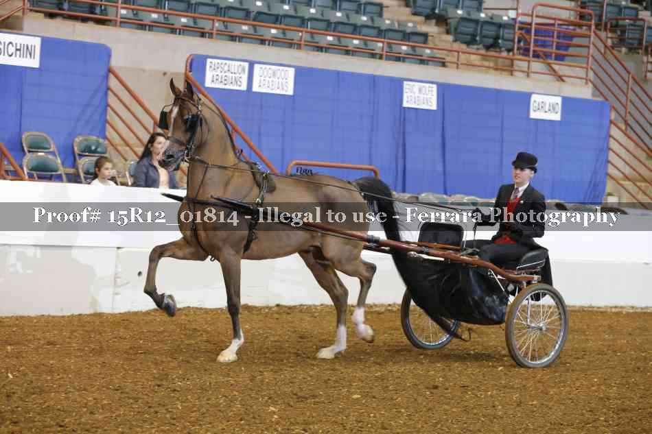 Proof 15R12_01814