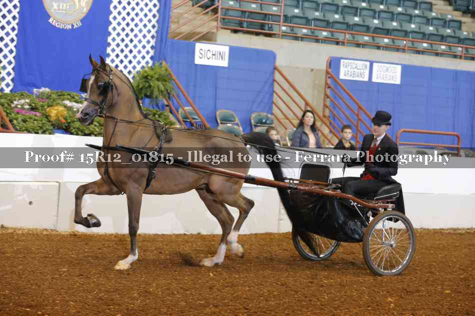 Proof 15R12_01815